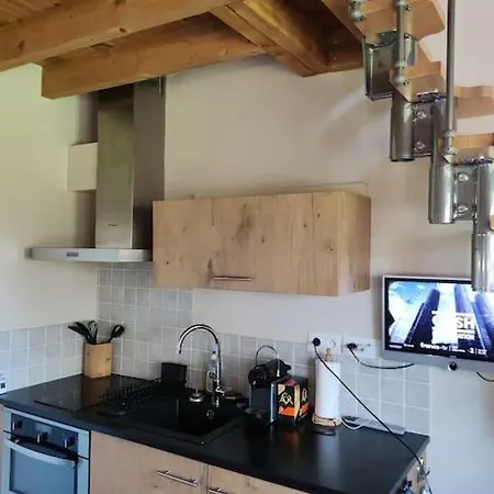 Daire La Taniere, T2 De 27 M² En Duplex Écully