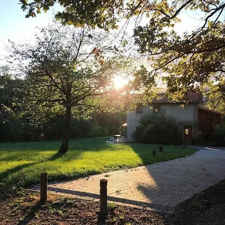 La Taniere, T2 De 27 M² En Duplex Daire Écully